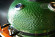 Керамический гриль SG с окошком, 57 см / 22 дюйма (зеленый) (Start Grill) в Кемерово